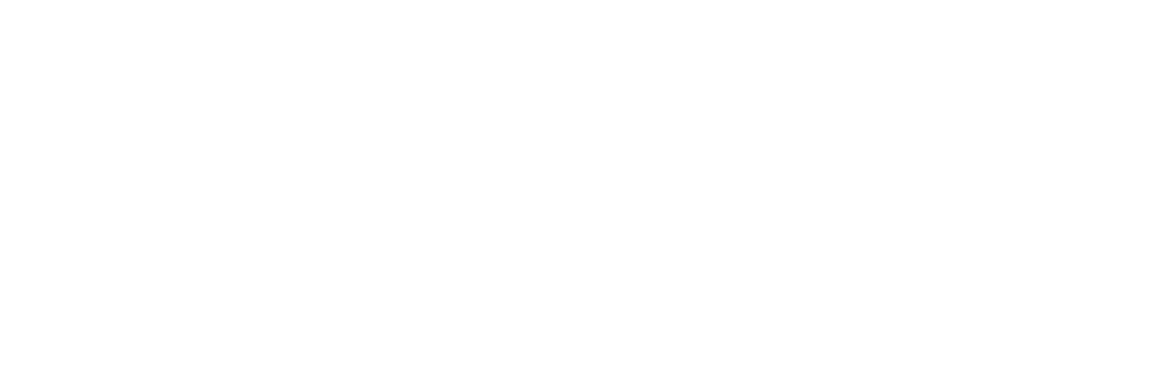 Alfa4N tek renk beyaz logo